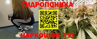 2c-b Краснознаменск