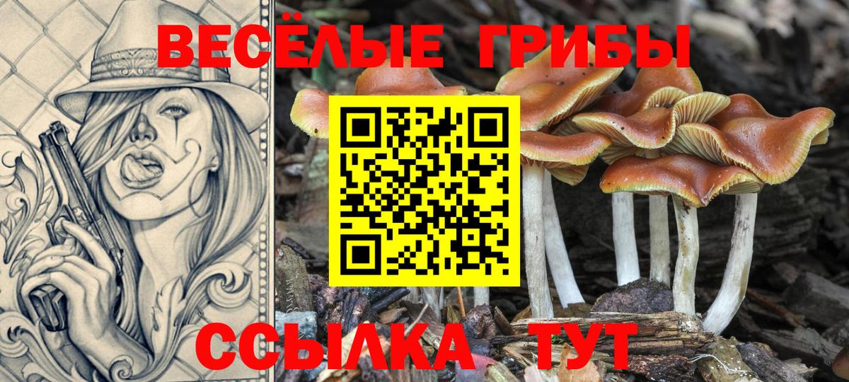 Галлюциногенные грибы мухоморы  Галлюциногенные грибы прущие грибы  Вход с VPN  Кингисепп 