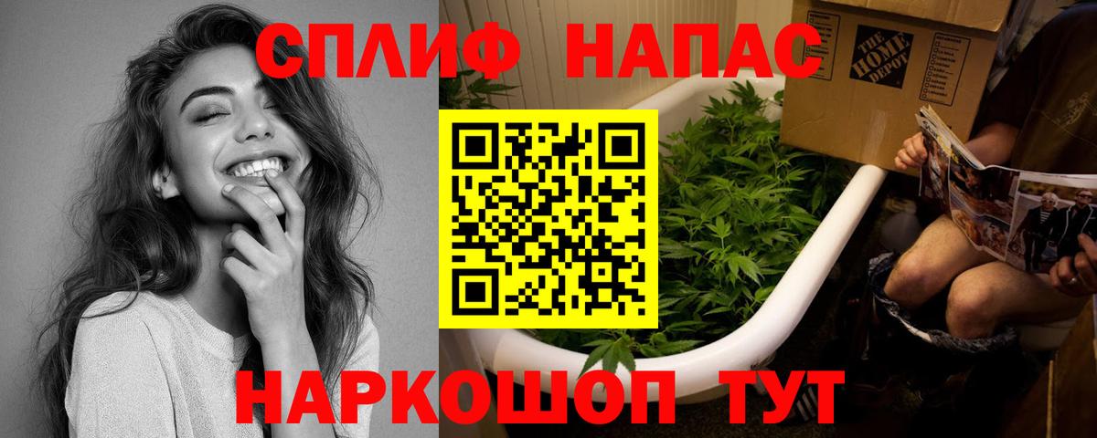 Марихуана семена Кингисепп